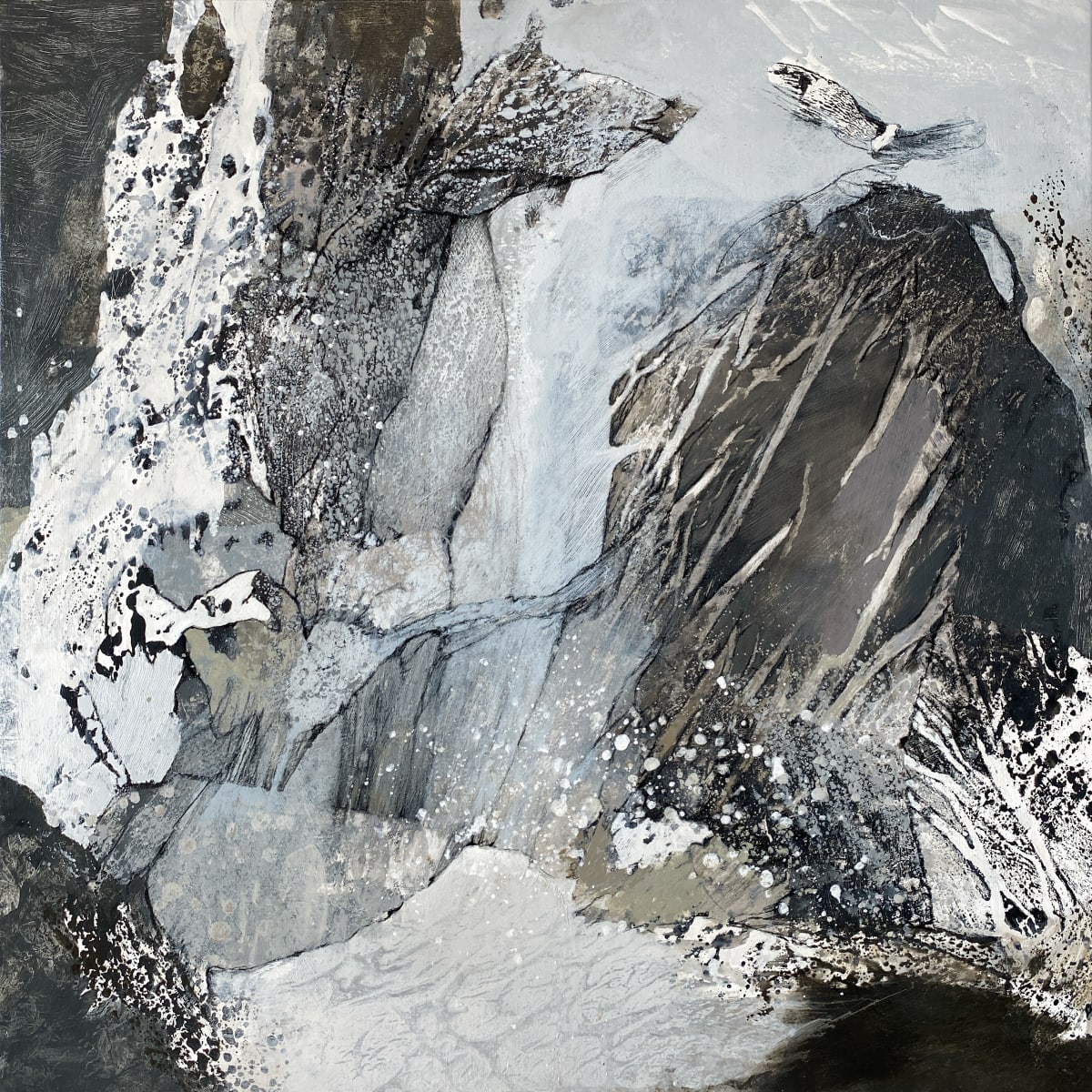 FaunaFloraFigure221 by Shar Coulson 