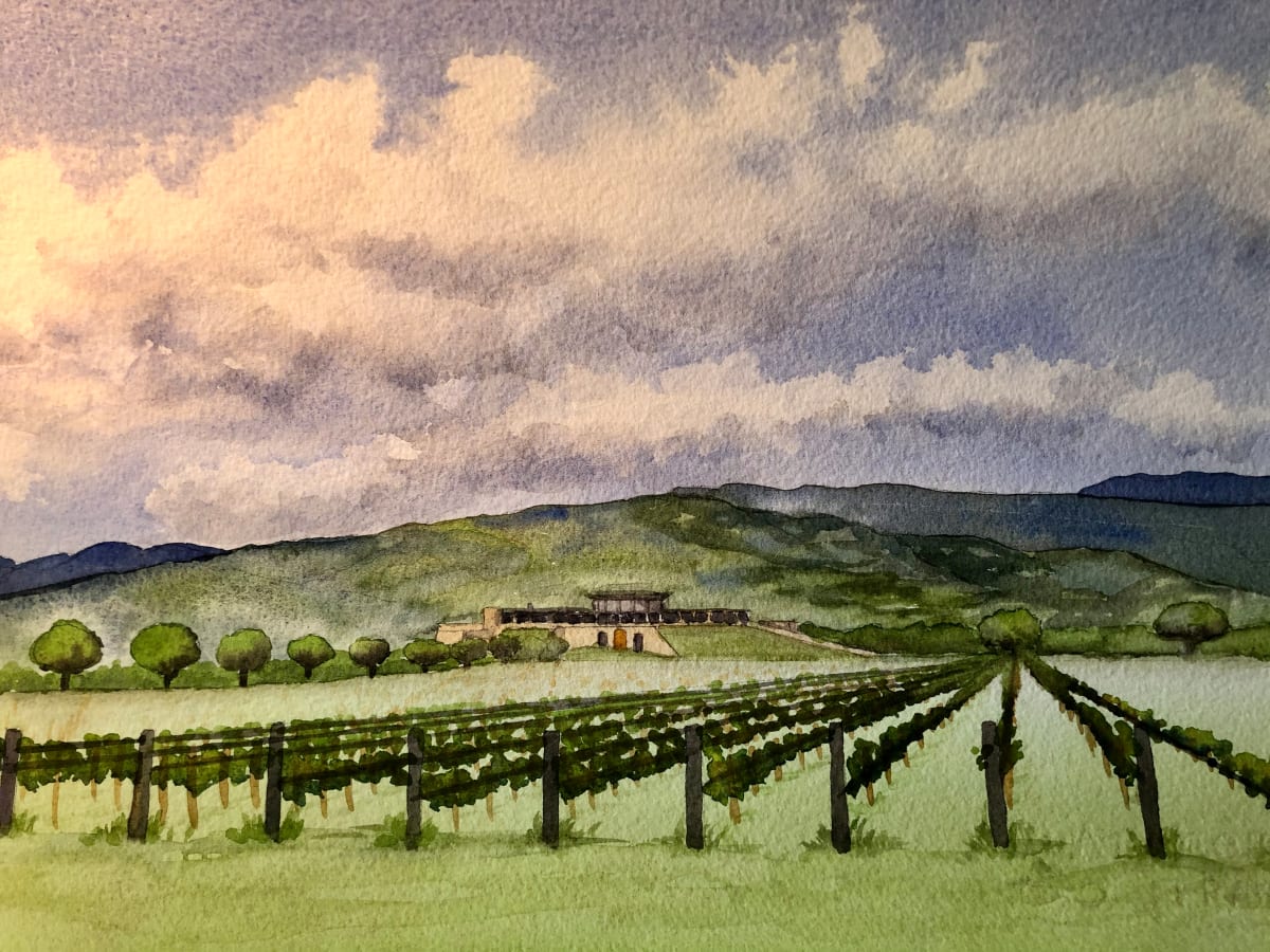 Opus Napa 