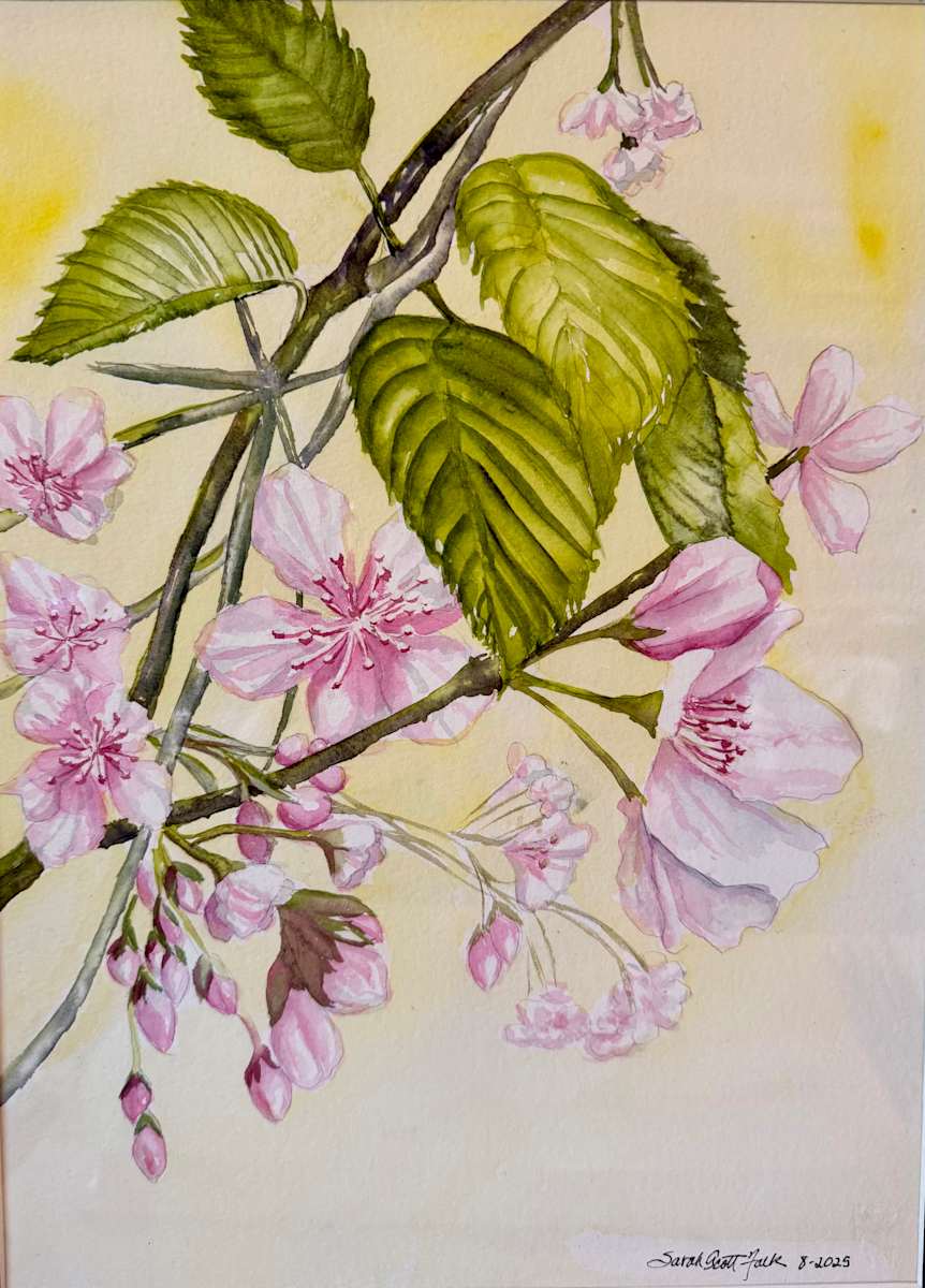 J-Town Cherry Blossom by Sarah Scott Falk, Image 1.