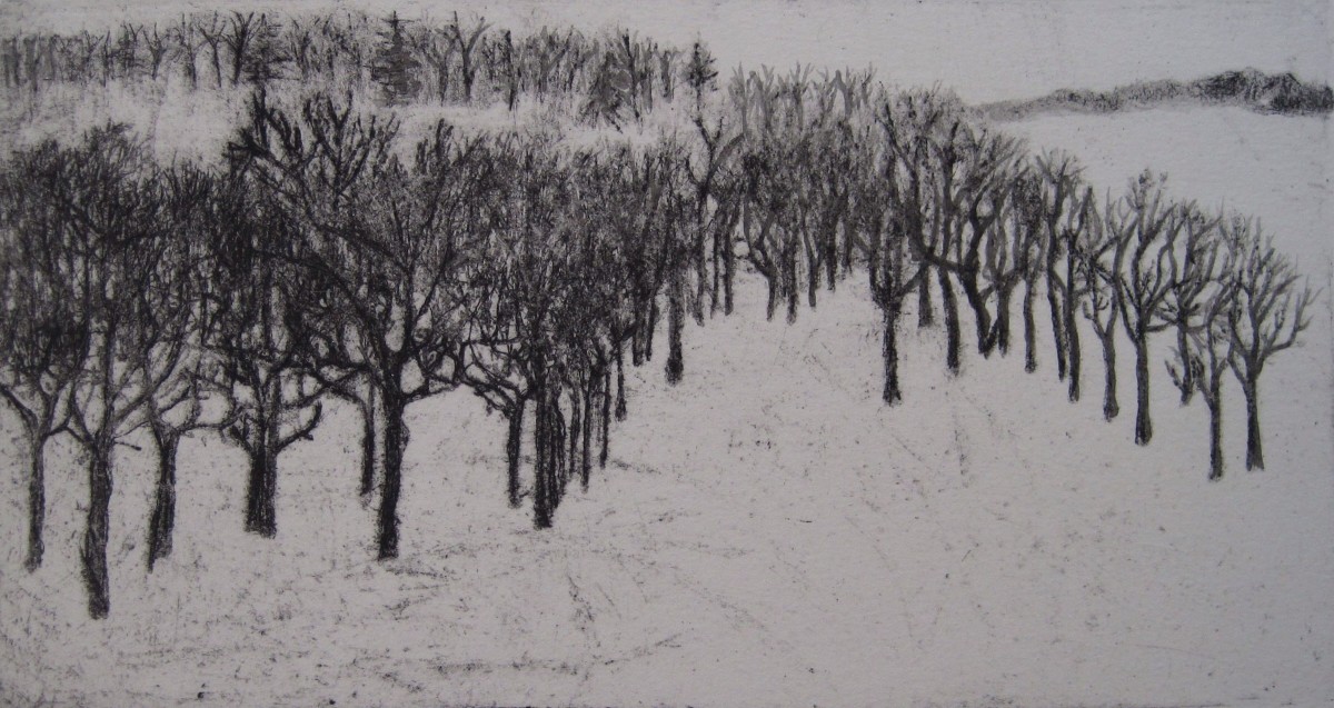 Changes: Trees by Laura Morton 