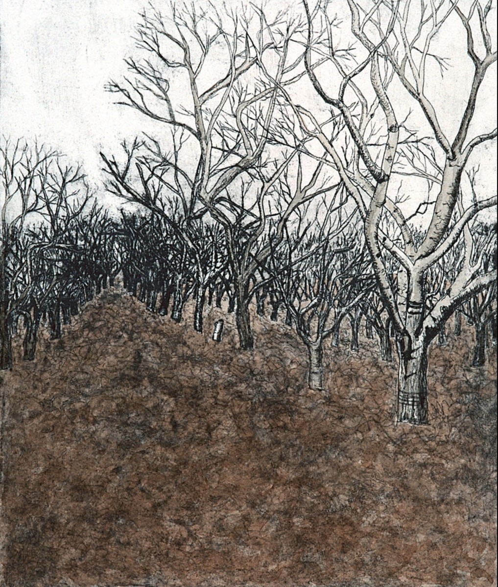 Orchard by Laura Morton 