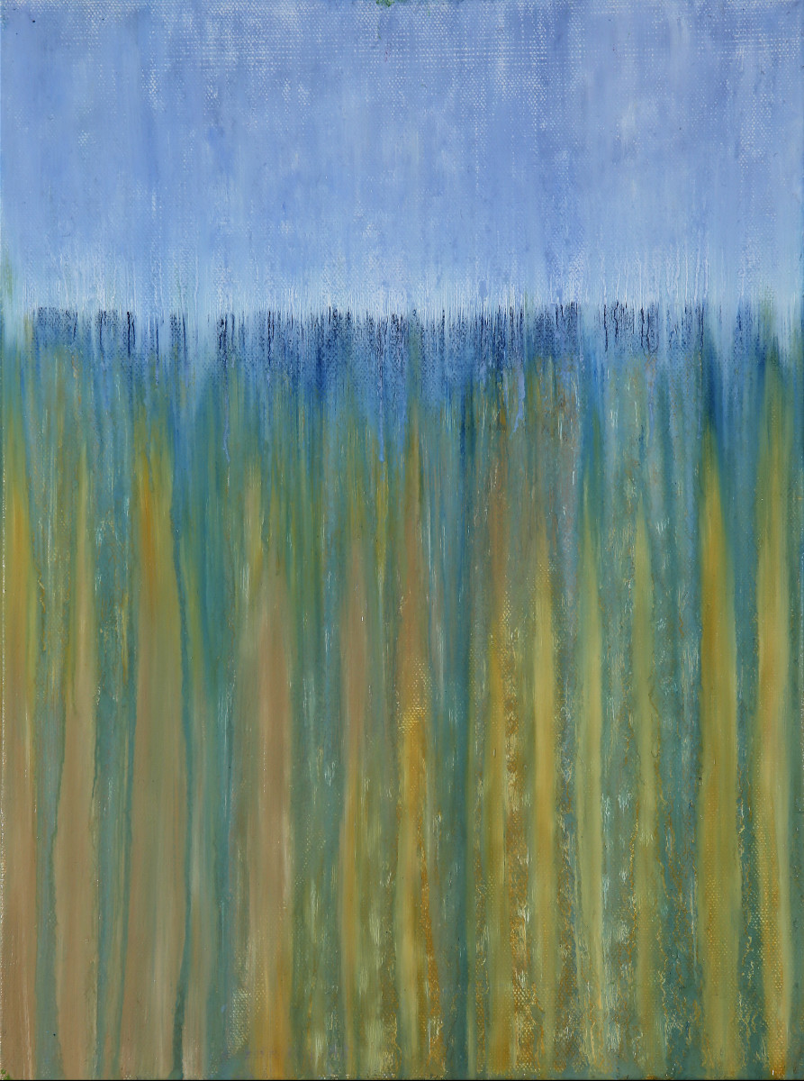 Beach Dunes in Rain by Rachel Brask 