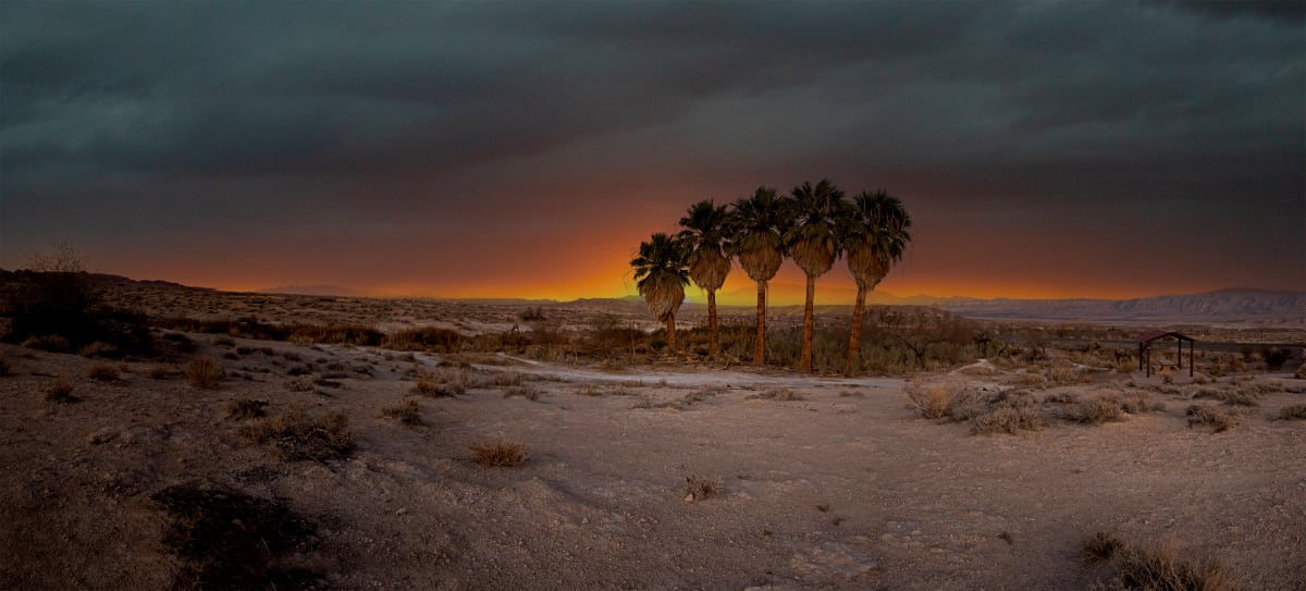 Desert Oasis by Sandra Swan  Image: A smoldering sunset behind a desert oasis in the Southwestern USA