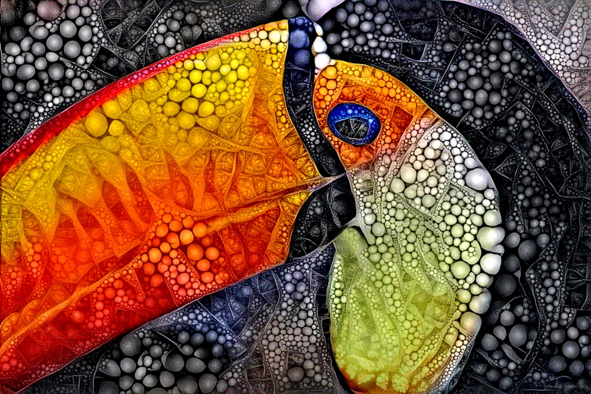Toco Toucan by Sandra Swan  Image: When you want to make the finest impression: Acrylic is to wall art, what HD is to TV. Acrylic prints, in basic terms, are photos printed on shatter resistant, lightweight glass panels.

Digital images are printed directly on the surface of the acrylic panel via a flatbed printer creating a luminous look with colours that pop. Acrylic prints are an affordable route to modernize and personalize your decor, giving your residential or commercial space a beautiful focal point that will impress guests and clients alike.

Often found in modern homes/offices, hospitality spaces, and art galleries, this product is truly one-of-a-kind and cannot be replicated by other solutions like a laminated photo, or a photo encased in acrylic for instance. Acrylic offers colors that are more vivid, glossy, and have a higher contrast.

Message for alternative sizes.