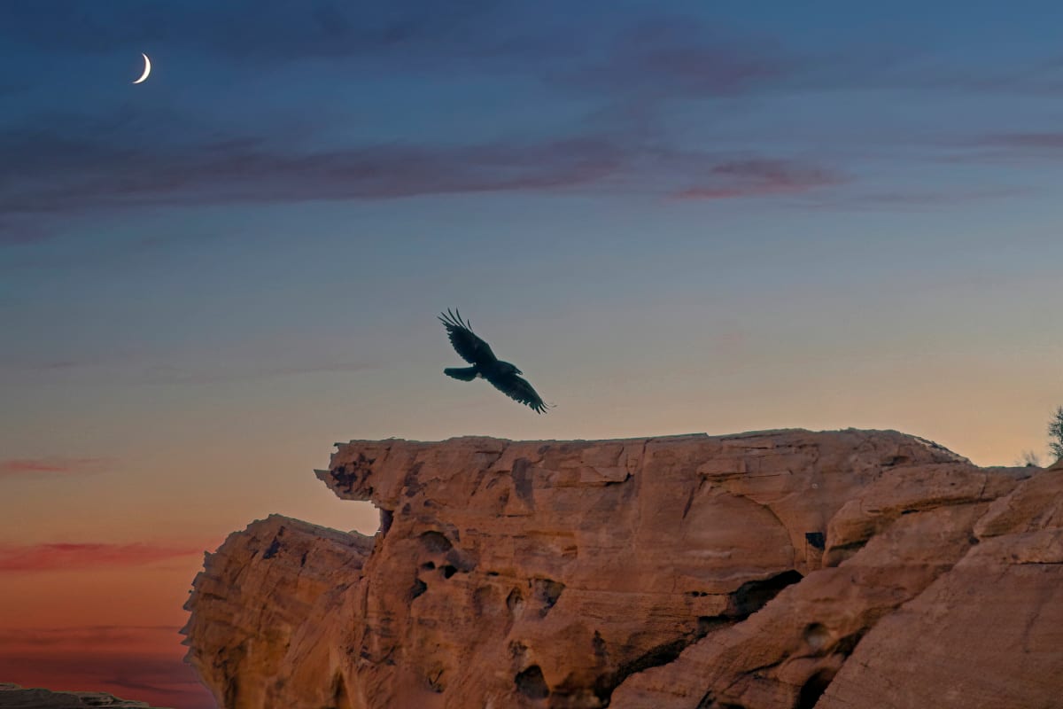 Valley of Fire Nightbird by Sandra Swan  Image: A single bird soars above the canyon just as the moon makes its appearance. A tranquil scene.