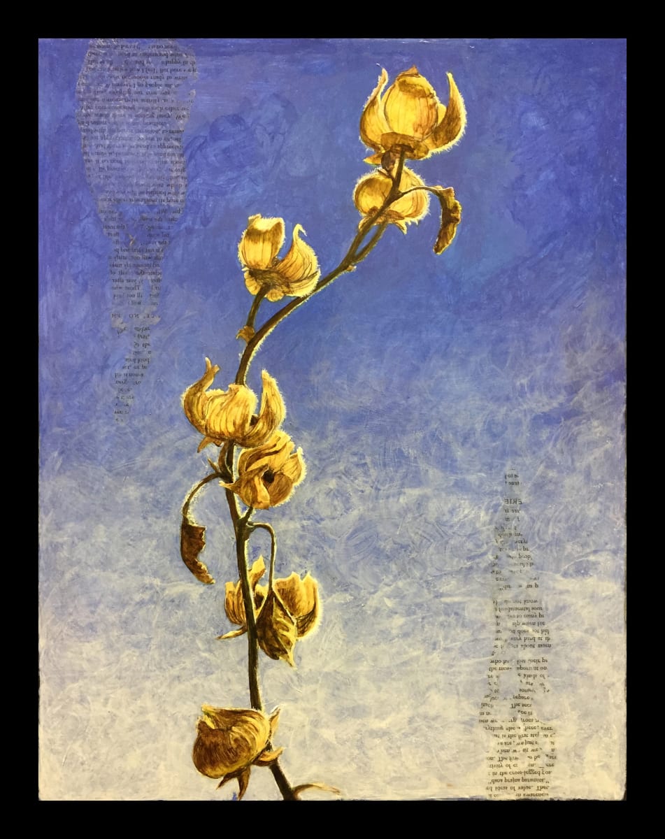 Dried Hollyhocks by Christy Hengst 