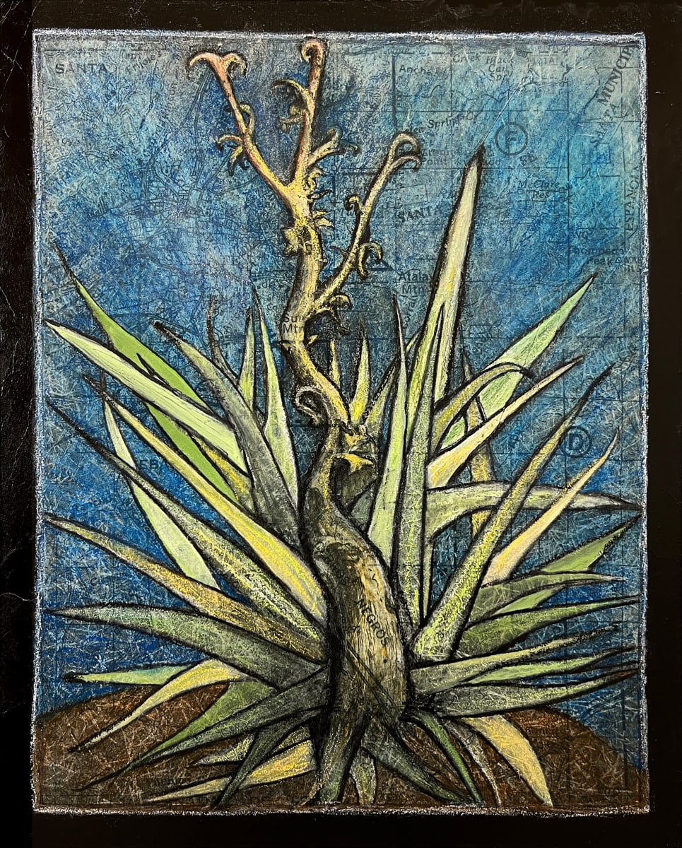 Yucca, Santa Fe by Christy Hengst 