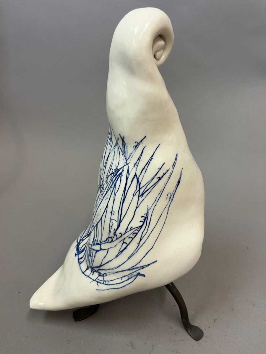 Tangled Yucca by Christy Hengst 