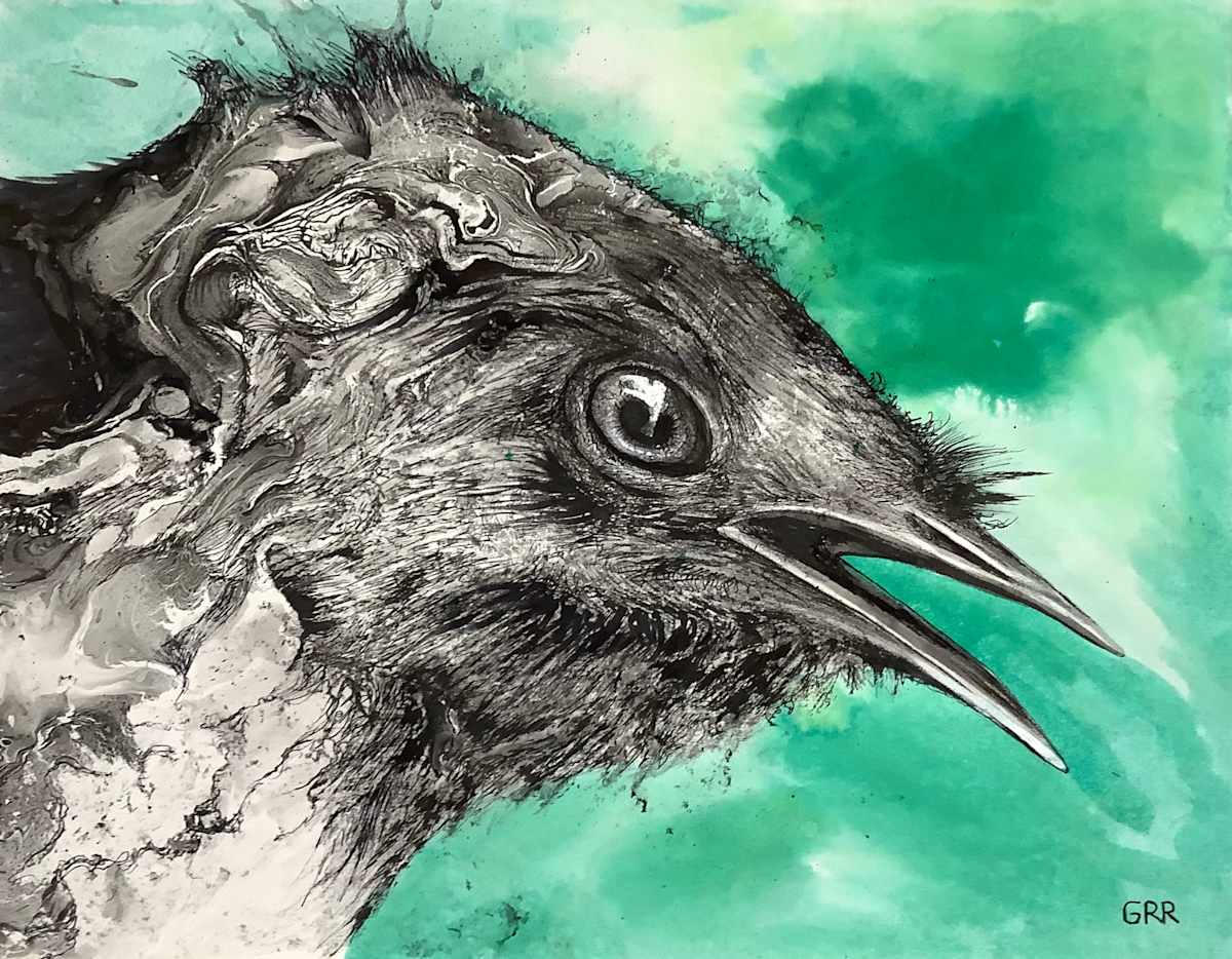 Lyre Bird by Glen Ronald, Image 1.