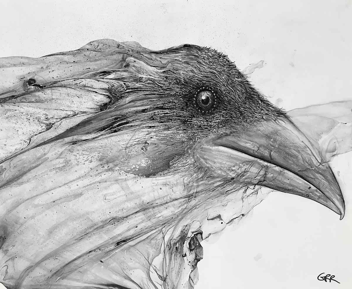 Raven drawing by Glen Ronald, Image 1.