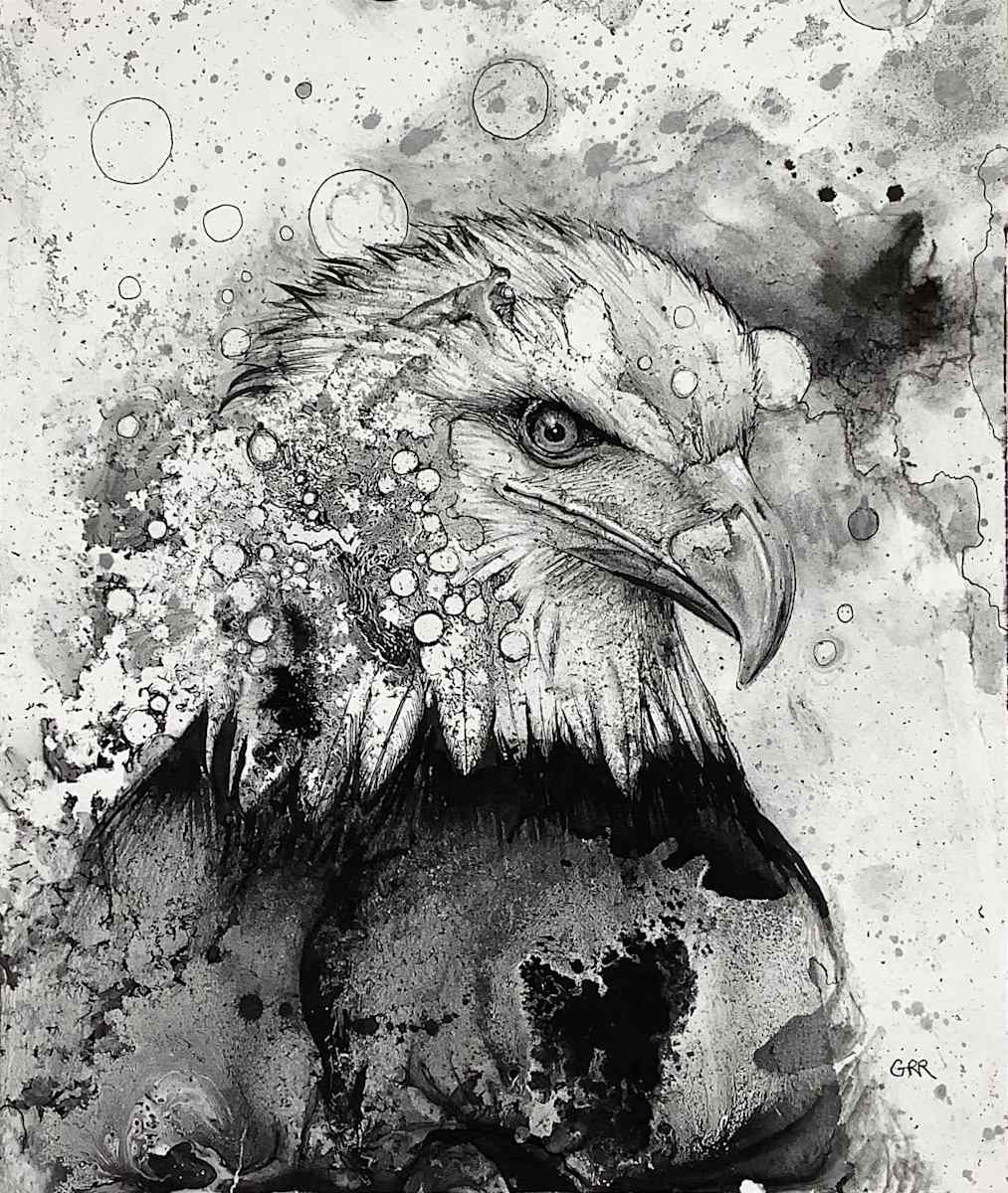 Eagle by Glen Ronald 