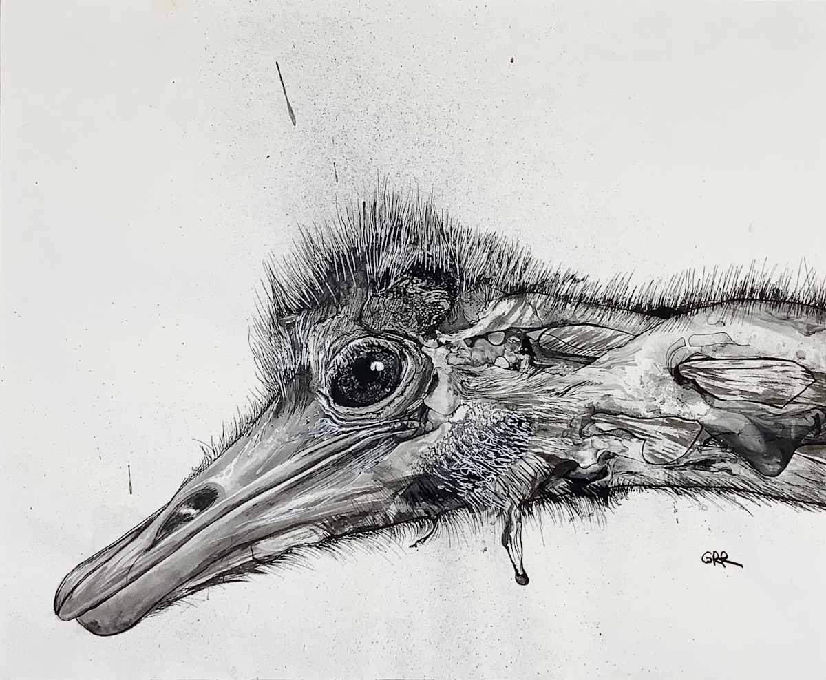 Ink drawing by Glen Ronald, Image 1.