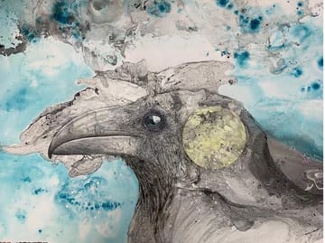 Raven, Image 1.