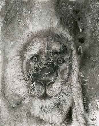 Reflection by the Waterhole, Image 1.