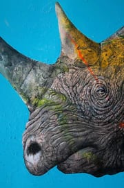 Resolve by Glen Ronald 