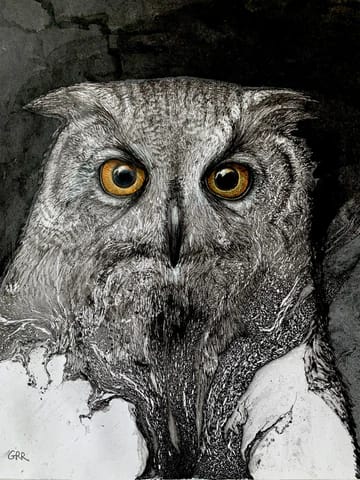 Owl painting by Glen Ronald 