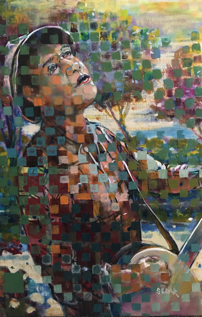 A Banjo in the Air by Scott Sedar 