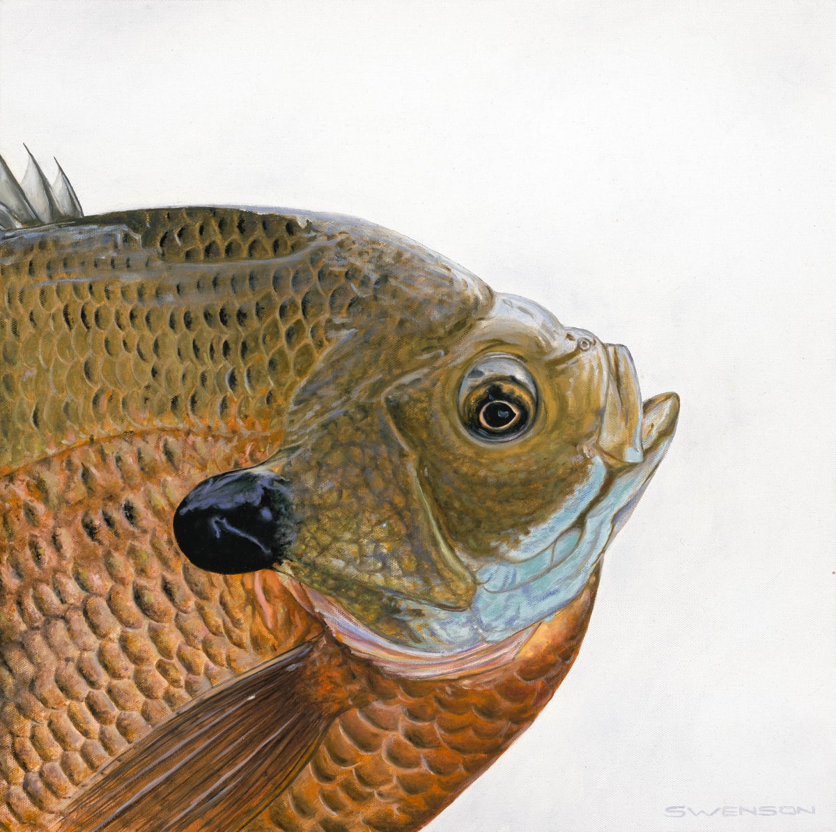 Mr. Big by Mark H Swenson  Image: ***NEW 2024***