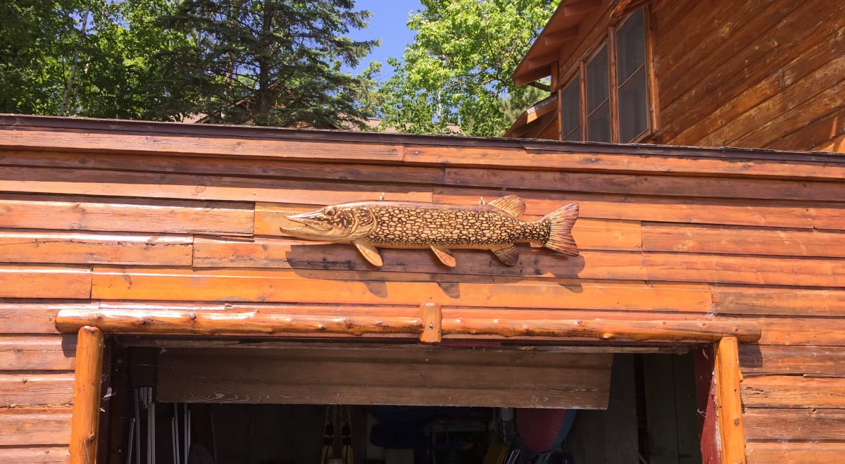 Northern Pike 