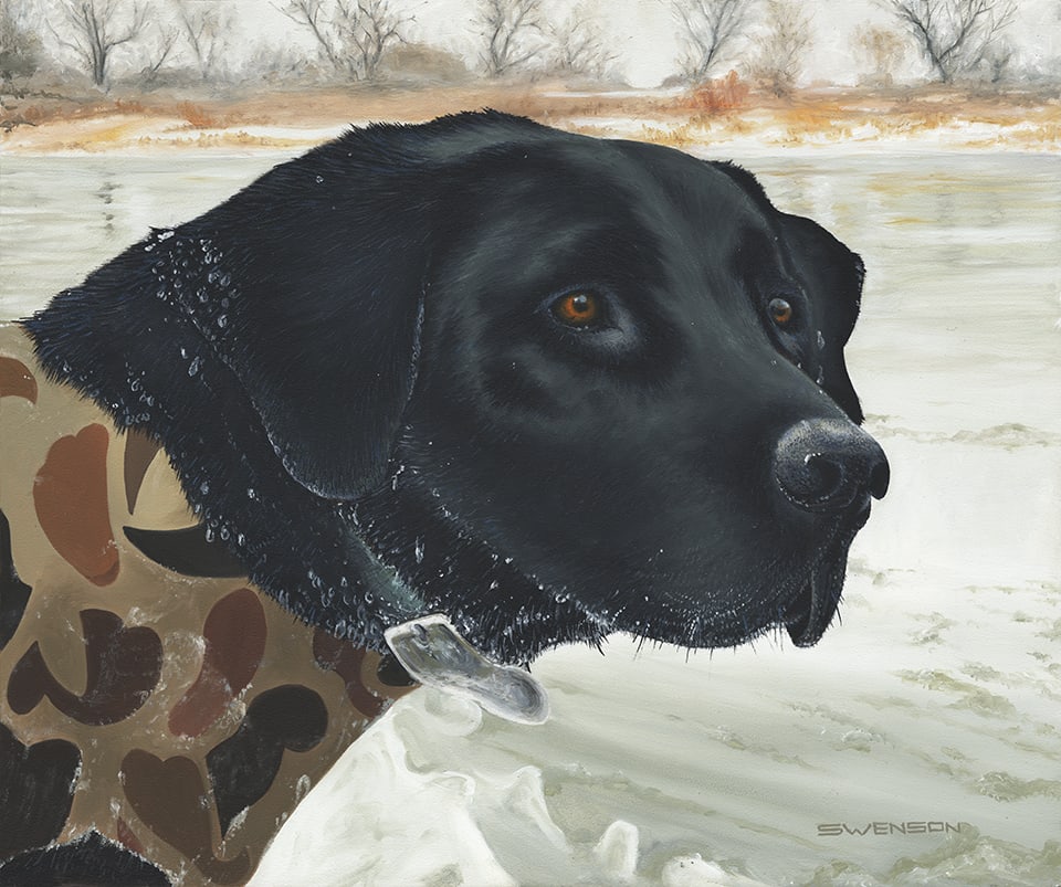 Cold Work | Black Lab, Image 1.
