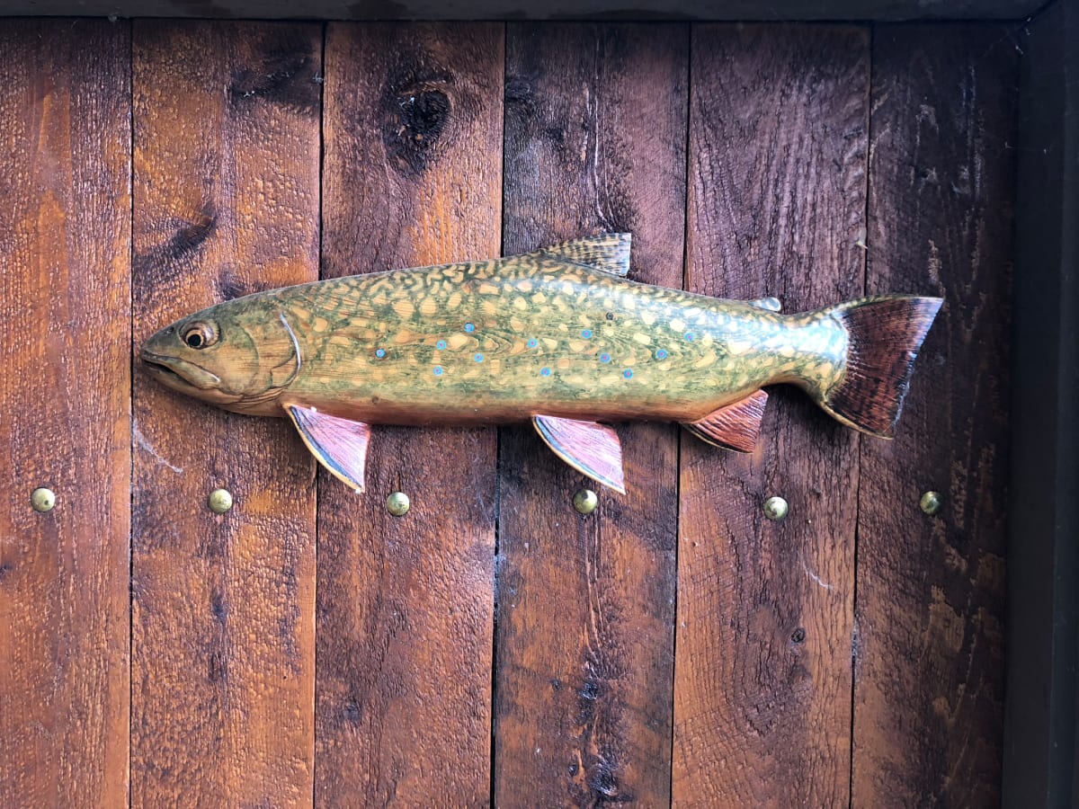 Brook Trout 