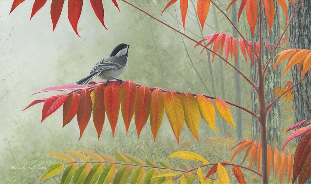 Fall Sumac - Chickadee 