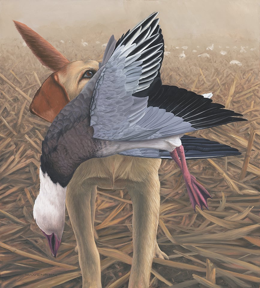 More Coming | Blue Goose by Mark H Swenson 