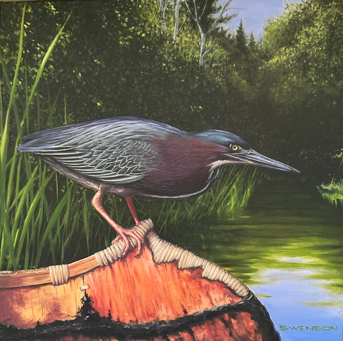 Harmony | Green Heron by Mark H Swenson 