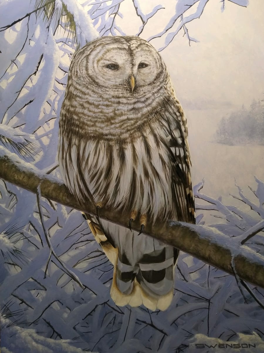 Fresh Snow | Barred Owl by Mark H Swenson  Image: NEW RELEASE...Fresh off the easel.