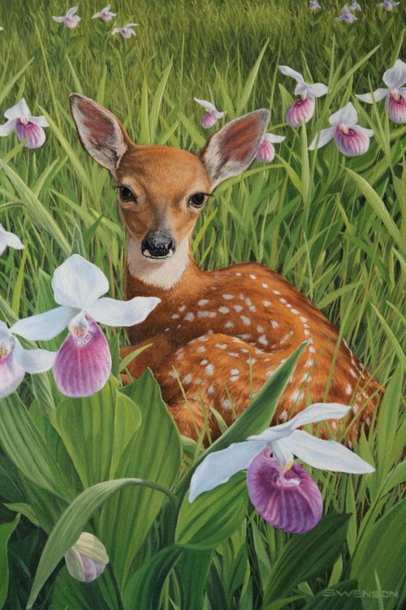 Orchid Nursery | Fawn by Mark H Swenson  Image: Reproductions are available of this piece.