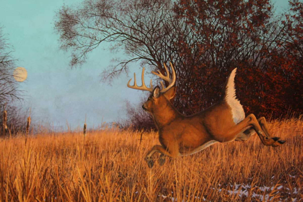 The Chasing Moon | Whitetail Deer by Mark H Swenson, Image 1.