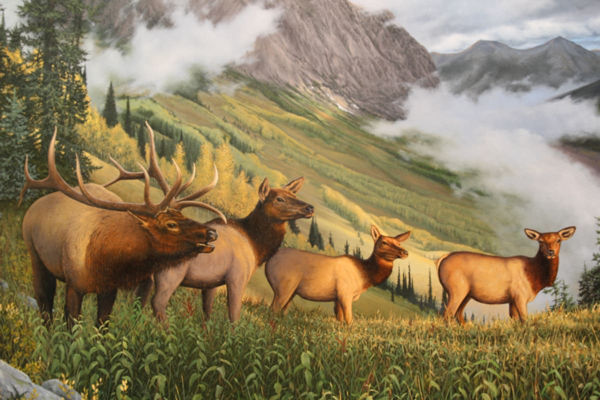 His Kingdom - Elk, Image 2.