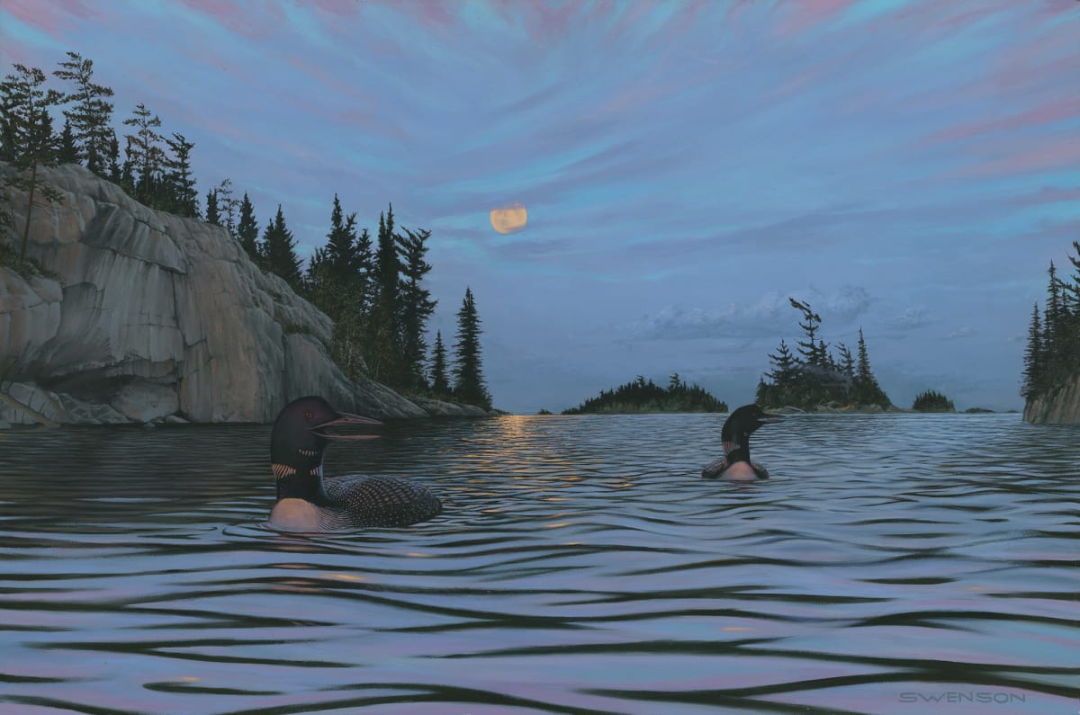 Moonrise Loons, Image 4.