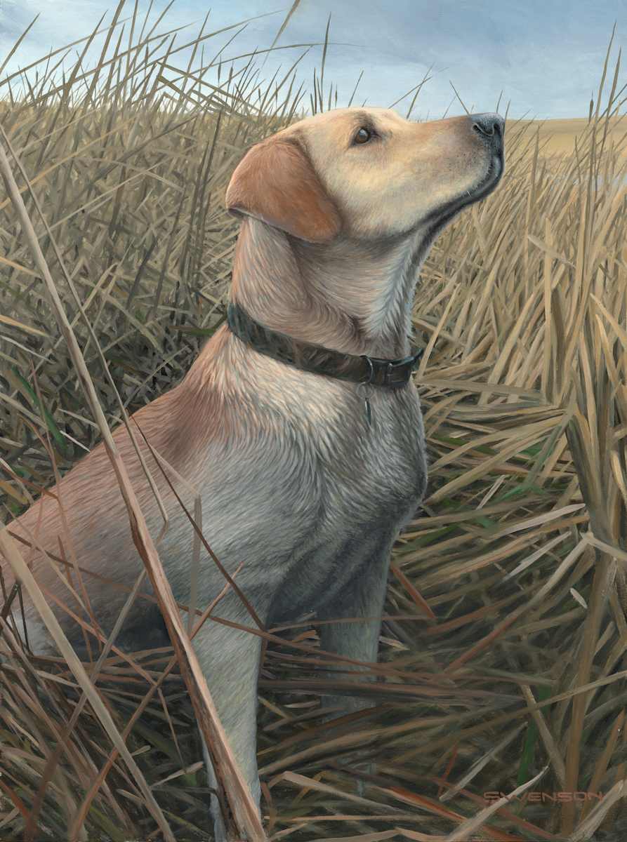 Hunting Mallards by Mark H Swenson 