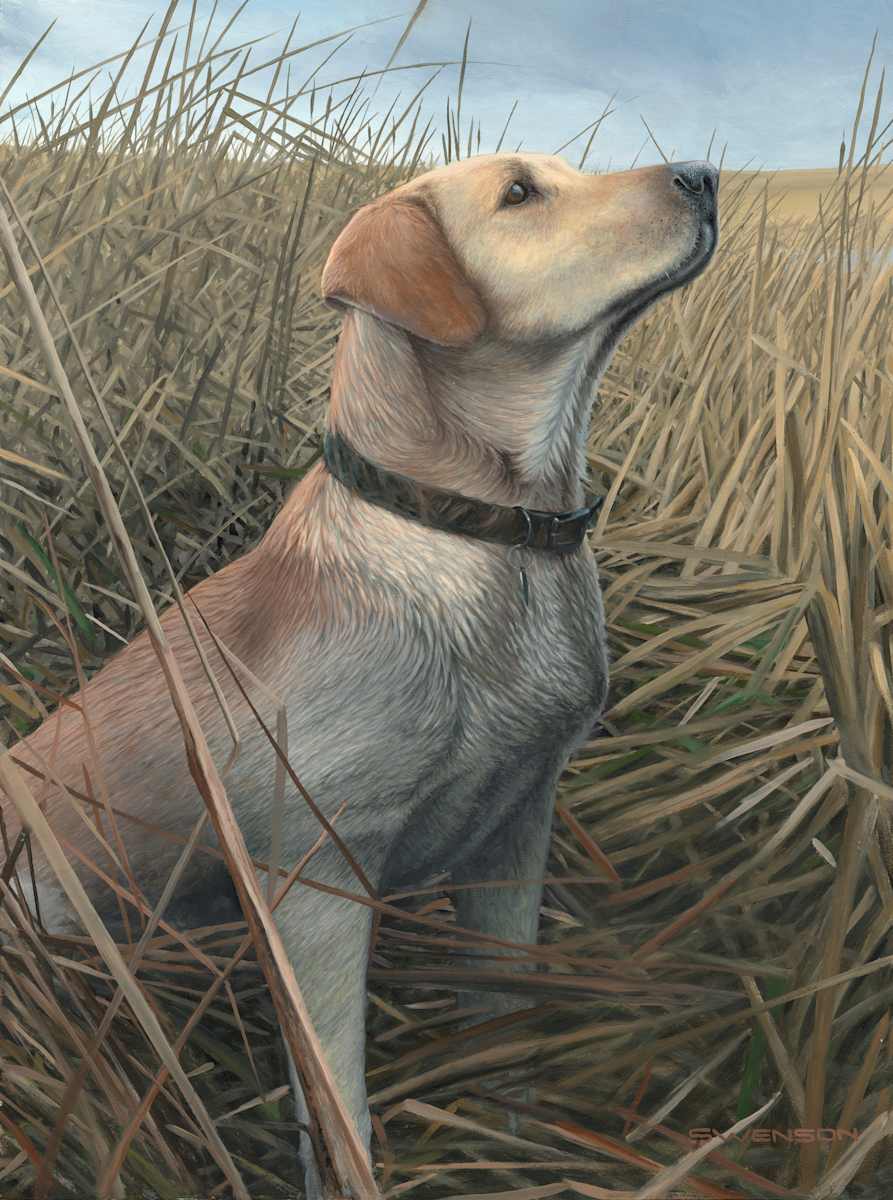 Hunting Mallards by Mark H Swenson, Image 3.