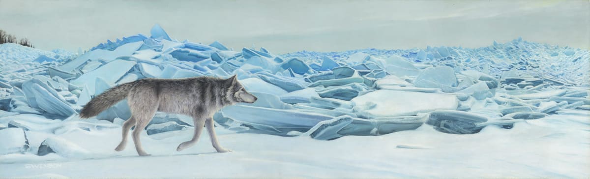 North Shore Hunter | Wolf 