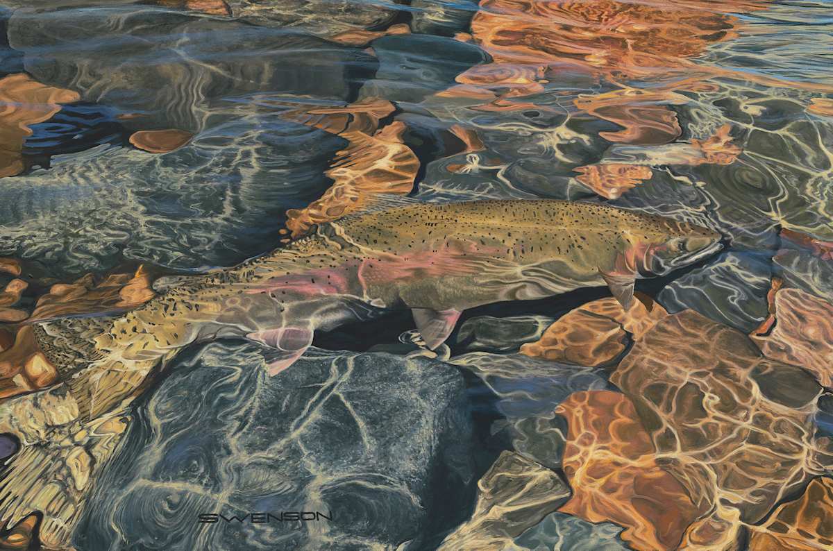 Rainbow Waters by Mark H Swenson, Image 2.