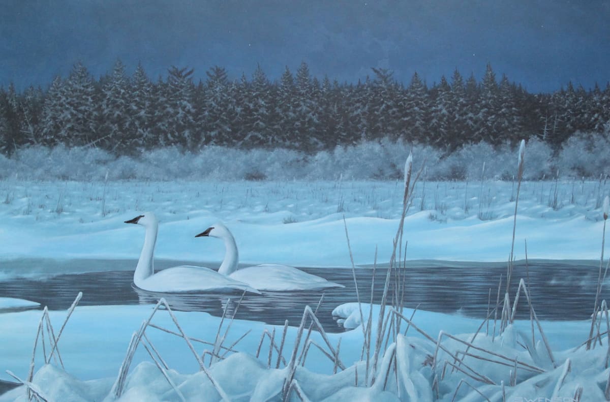 Winter Moon | Swans, Image 2.