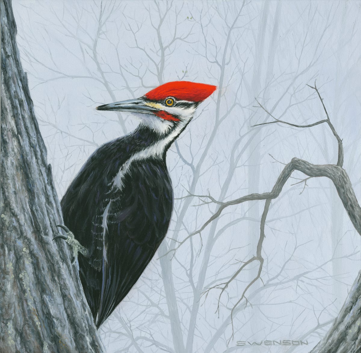 Pileated Woodpecker by Mark H Swenson, Image 1.