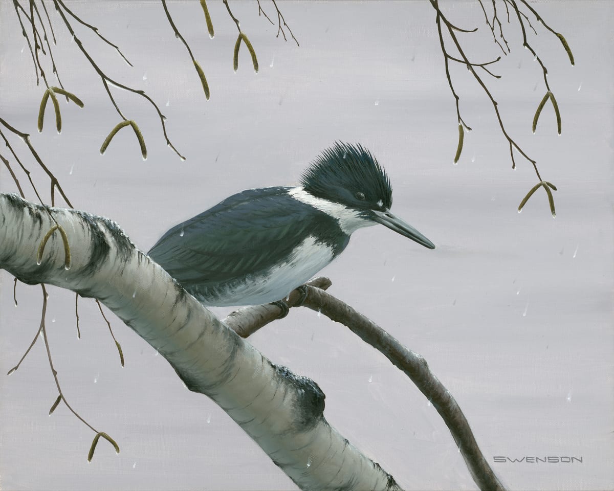 The Kingfisher by Mark H Swenson 