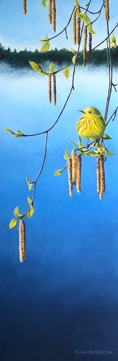 Spring Birch | Yellow Warbler by Mark H Swenson 