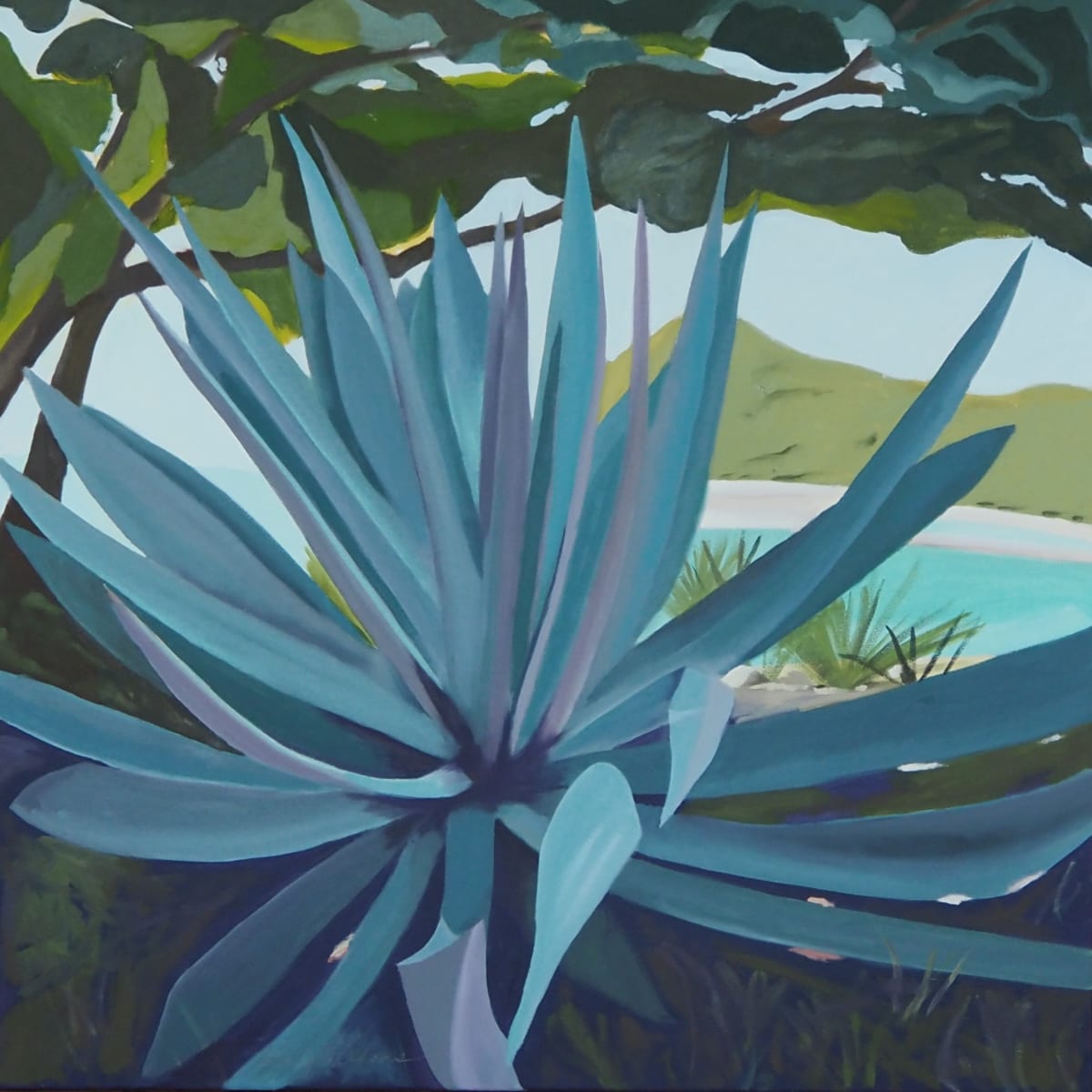Well Aloe There! by Kimberly Adams  Image: Inspired by my visit to St. John, USVI in February 2023 while staying at my sister's place - Coral Cove