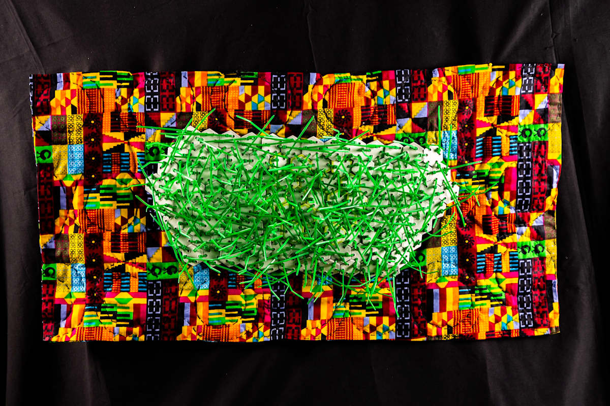 Grassland by Dellis Frank 