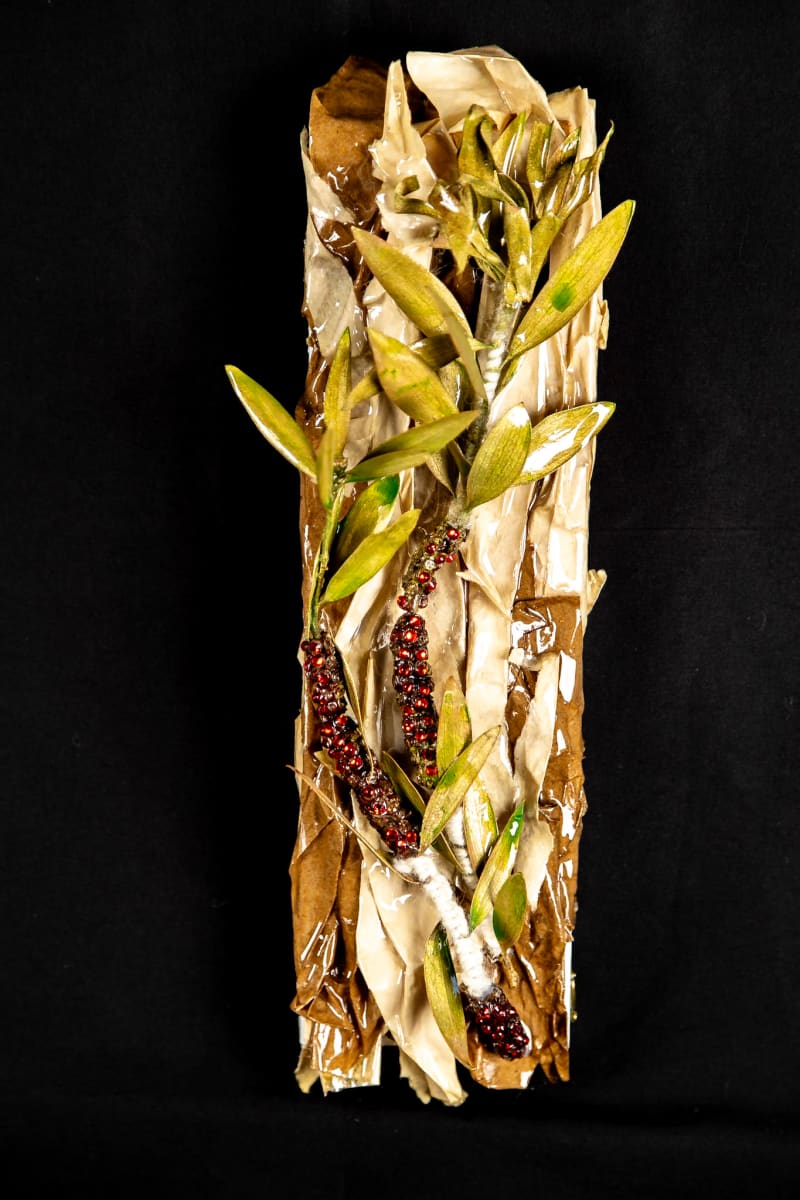 Paper Tree by Dellis Frank  Image: Branch of the Broad leaf paperbark Melaleuca plant