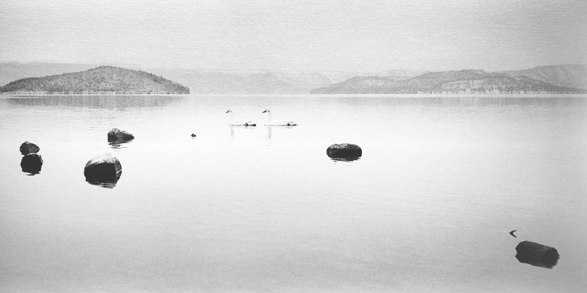 Life Silver Gelatin  Image: Life