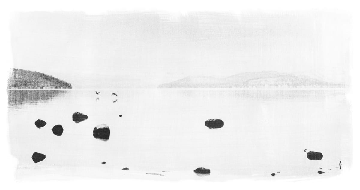 Birds liquid light by Margaret Lansink  Image: Birds liquid light