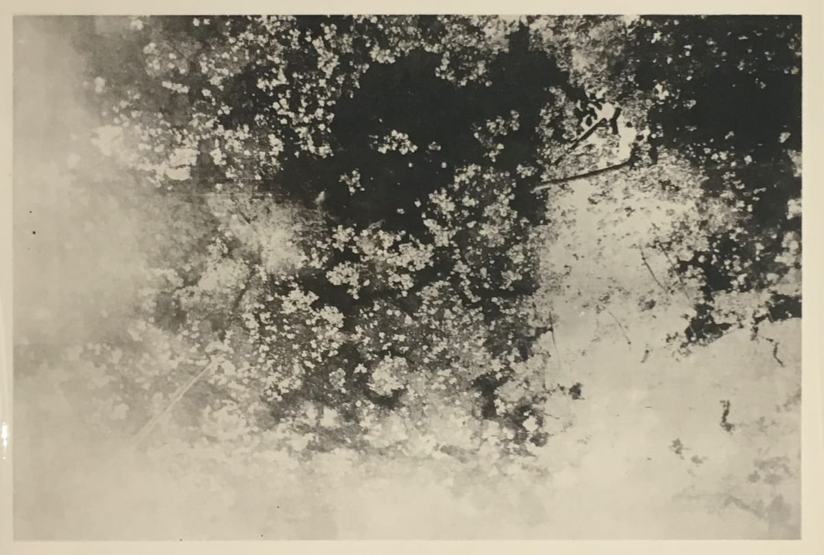 Memory Collotype made by Margaret by Margaret Lansink  Image: Memory Collotype made by Margaret