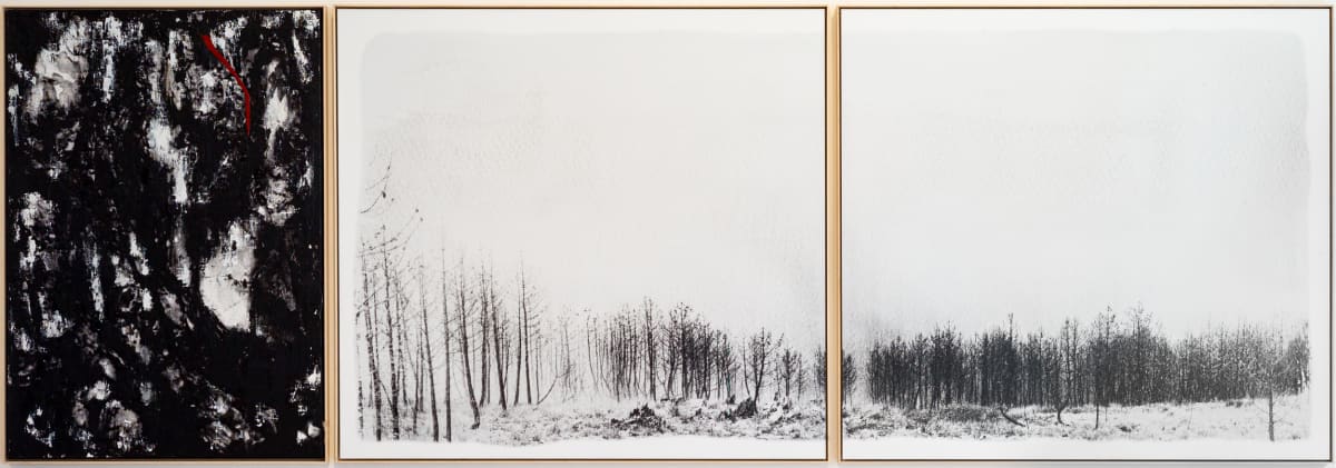 Interpose  Image: Interpose