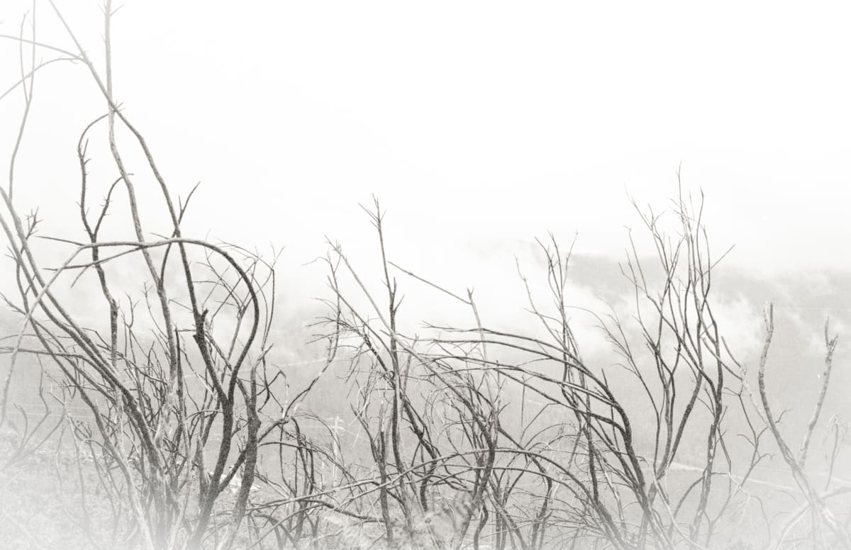 Pain’s fire  Image: Pain’s fire