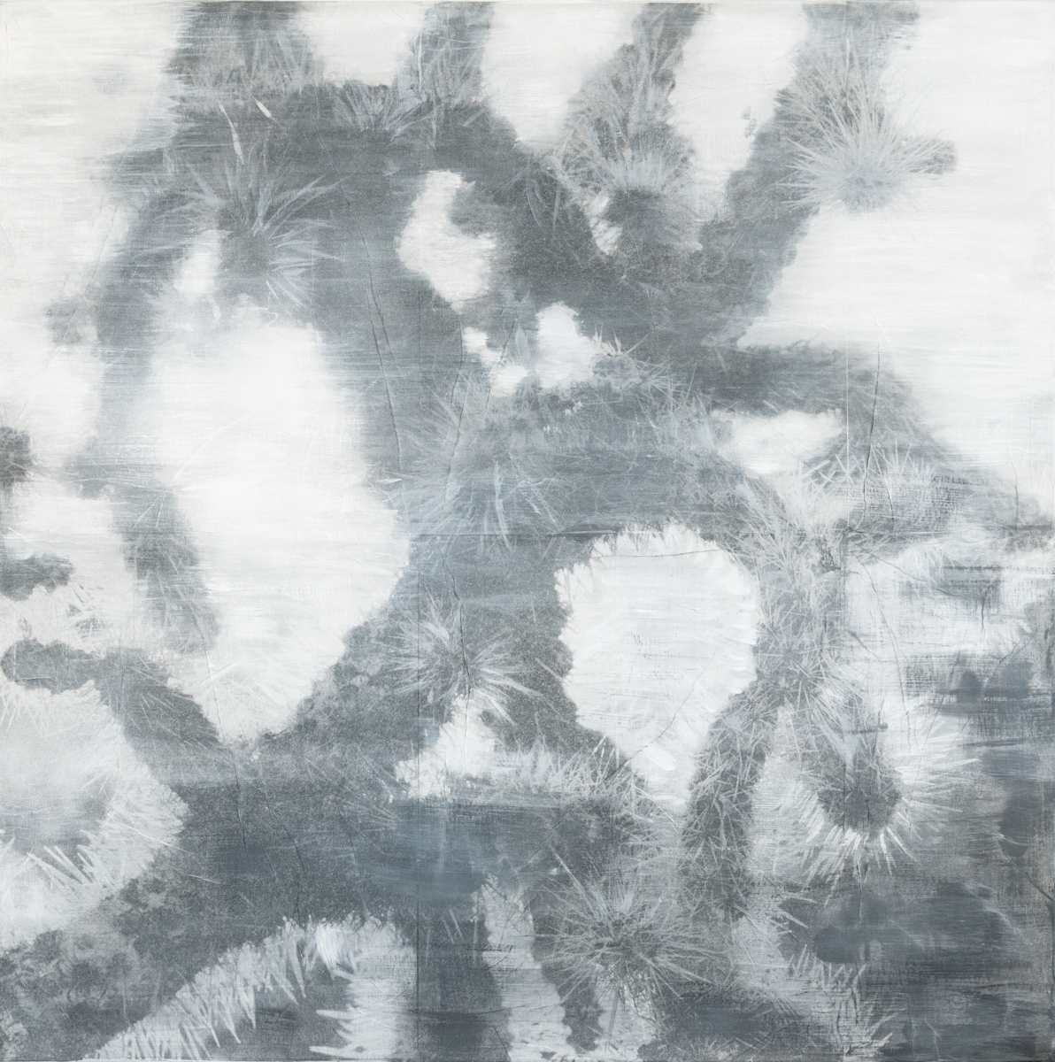 Echoes of Light #2 | UNIQUE by Margaret Lansink 